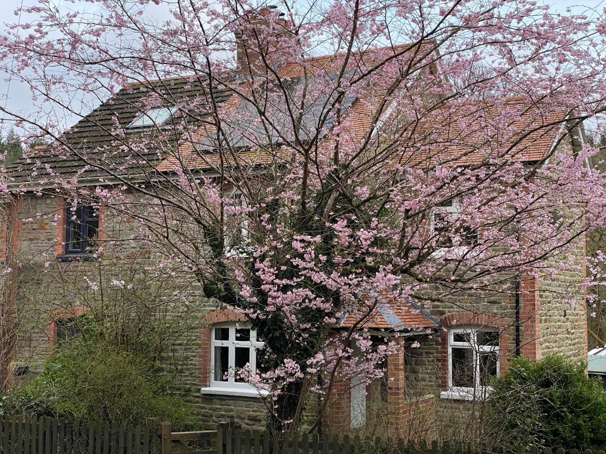Willow Cottage Longney Exterior foto